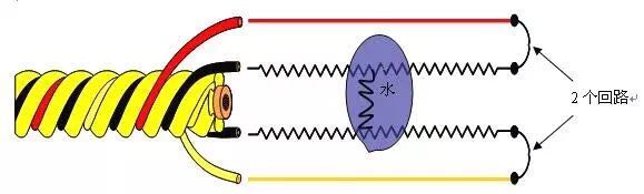 線纜式水浸傳感器，了解一下